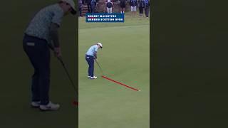 CRAZIEST putts of 2024 