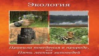 Экология. Правила поведения на природе, или пять лесных заповедей