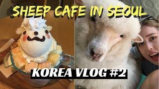 SHEEP CAFE IN SEOUL - Korea Vlog #2 / Sarah N