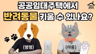 "반려동물과 같이 살 수 있는 공공임대주택" 매운맛 31살 / 월급 300~350 / 은평구 거주 / 직장: 고양시 ｜ 접수증에 답이 있다! 아영이네 상담소 ｜ 접수증 6화