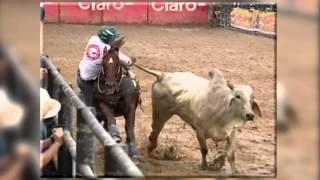 Mundial de Coleo 2013