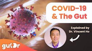 How COVID-19 Affects Your Gut | The GutDr Explains (3D Gut Animation)
