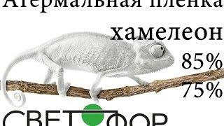 Hameleon New - тонировка авто