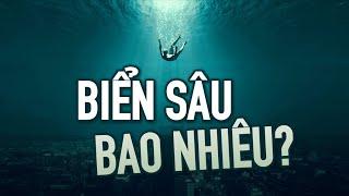 Nơi sâu thẳm dưới đáy đại dương náo nhiệt quá sức tưởng tượng của bạn