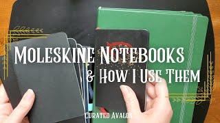 Moleskine Notebooks & How I Use Them