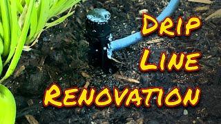 Drip System Renovation Project