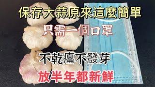 Easy Garlic Storage: Just 1 Mask, Fresh for 6 Months! 大蒜保存技巧：口罩妙用！！にんにく保存法：マスク活用！ 마늘 보관법: 마스크 활용!