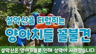 명산 설악산을 더럽히는 양아치년, 놈들의 꼴불견