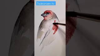 How to draw a bird in watercolor#art #facebook #tiktok #instagram #птицы #shorts  #союзмультфильм