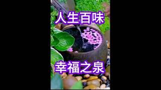 人生百味 幸福之泉#感情 #福慧雙修#人生哲理感悟 #哲学 #覺悟人生