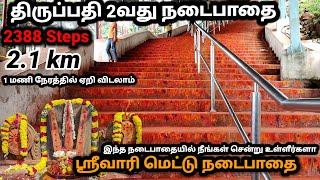 திருப்பதி ஸ்ரீவாரி மெட்டு நடைபாதை | Tirupati Srivari Mettu Footpath | tirupati footpath | tamil 2022