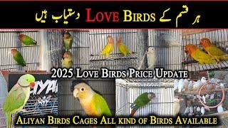 Birds Shop in Lalukhet Birds Market Karachi | Pet Shop in Karachi | Danish Ahmed Vlogs