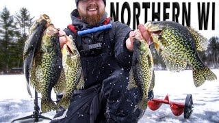 SLAMMING EARLY ICE Panfish by the DOZENS w/ Livescope (INSANE BITE)