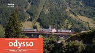 Vergleich Deutschland - Schweiz | SWR Wissen