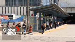 Free transit? TTC riders use bus lanes to access subway illegally