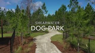 Shearwater Dog Park | Enjoy World-Class Amenities with Your Pet