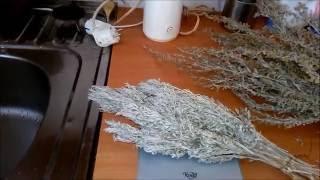 Отвар полыни  горькой и  профилактическая  осенняя обработка пчел от  нозематоза Prevention nosema