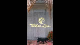 Tahitian Lime Swimwear - 2019 Collection