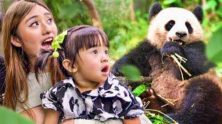 Starley's First Time Seeing A Panda!