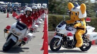 2015東京モーターサイクルショー ピーポ君走行 女性白バイ隊クイーンスターズドリル走行