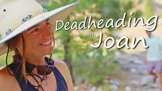 Deadheading the Middle Fork of the Salmon River
