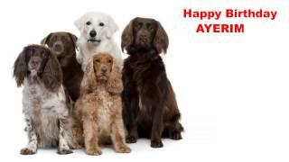 Ayerim - Dogs Perros - Happy Birthday