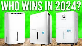 The 5 Best Dehumidifiers of 2024