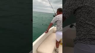 Скорпена 3. Рыбалка в Сочи. #fishing #fish #рыба