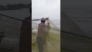 How to Get Fish out of the nets: Negombo, Sri Lanka