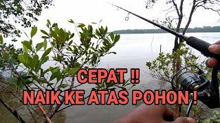 Astaga!! Mancing di Sarang Buaya beneran Ketemu di depan Mata!