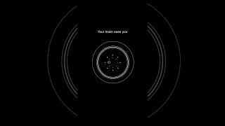 Your Brain | Animation Random Thoughts