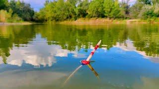 Really amazing technique of fishing on the lake. Рибалка без слів на поплавок.