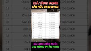 GIÁ HEO TĂNG MẠNH #shorts