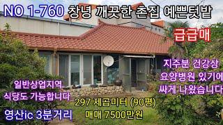 창녕 깨끗한 즉시입주 가능한  전원촌집 상업지역 식당도 할수있는 영산ic 3분거리 예쁜 정원과 예쁜텃밭 있는 주말 세컨하우스 (창녕 의령 합천  밀양 촌집매매) 따봉부동산 TV