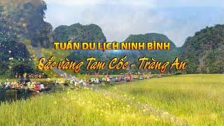 Tuần Du lịch Ninh Bình: “Sắc vàng Tam Cốc - Tràng An” năm 2024