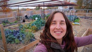 Desert Fall Garden Tour | What I'm Growing All Winter