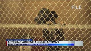 City of Abilene considers spay/neuter mandate, ‘Aggressive Dog’ category