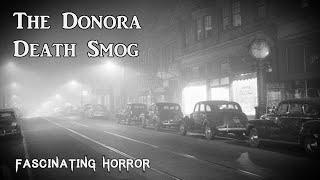 The Donora Death Smog | A Short Documentary | Fascinating Horror