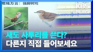 [글로벌K] 새도 사투리를 쓴다? "지역별로 '방언' 존재" / KBS  2024.07.15.