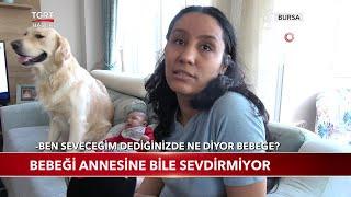 Evin Köpeği, Evin Bebeğini Kıskanırsa