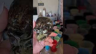 Artist is demolding a custom resin skull filled with moss and black obsidian!