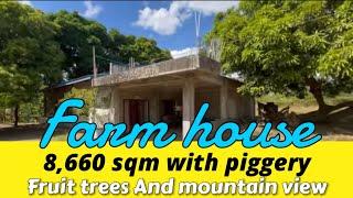 V379-24 • 8,660 sqm Farm House and Lot in Nasugbu Batangas | Piggery, Fruit Trees, Mountain View