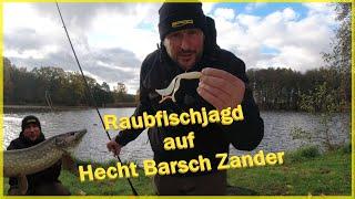 Raubfischangeln im Herbst aktiv vom Ufer Marco auf Raubfischjagd Hecht Barsch Zander