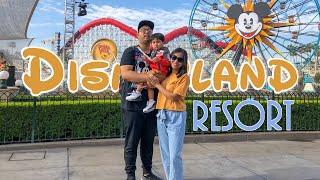 Disneyland Resort 4k | ZAM adventures