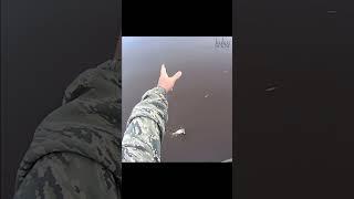 БУДНИ РЫБАКА Когда прячется под самым берегом #shortsvideo #shortvideo #shorts #short
