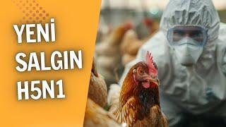 FİNANSAL KRİZ VE SALGINLAR NEDEN AYNI ANDA GÜNDEME GELİYOR? PROF.DR.OYTUN ERBAŞ-ALİ TARAKCI