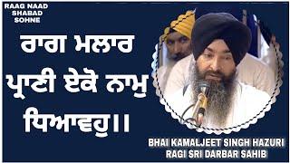 Raag Malaar - Prani Eko Nam Dhiavho  Bhai Kamaljeet Singh Hazuri Ragi Ji