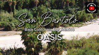 4K Oasis en SAN BARTOLO Baja California Sur México