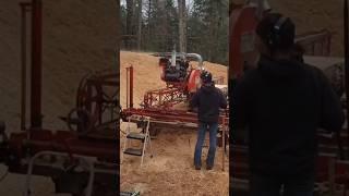 Some nice 1×12 white pine.  #sawmill #machinery #michellehill #lumberjack #upmi #logging #whitepine