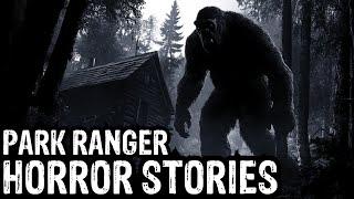 16 TRUE Terrifying Park Ranger Horror Stories (Dogman,Sasquatch,Werewolf,Bigfoot,Forest Ranger)